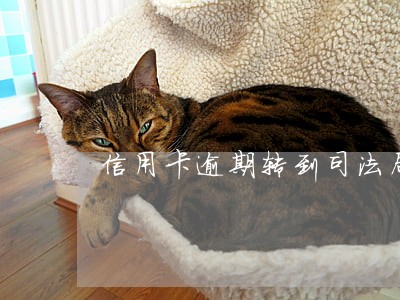 信用卡逾期转到司法局 信用卡逾期转到司法局