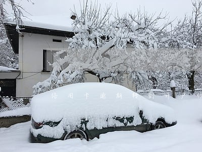 信用卡逾期转到开户行 信用卡逾期转到开户行