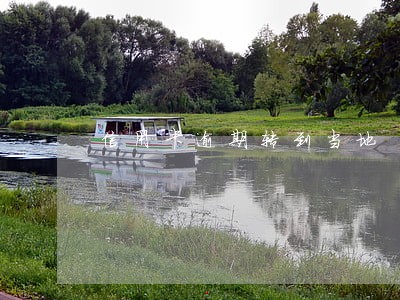 信用卡逾期转到当地 信用卡逾期转到当地