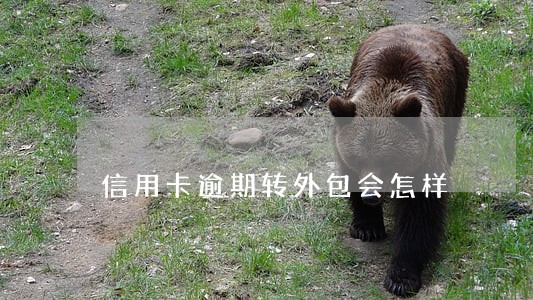 信用卡逾期转外包会怎样