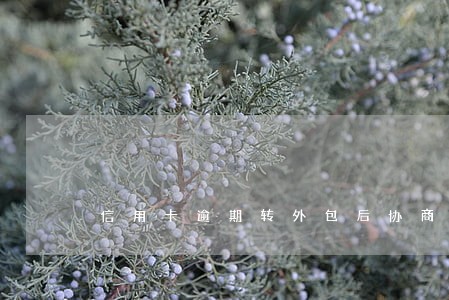 信用卡逾期转外包后协商靠谱吗 信用卡逾期转外包后协商靠谱吗