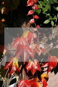 信用卡逾期转当地什么意思