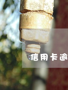 信用卡逾期转案是什么意思 信用卡逾期转案是什么意思