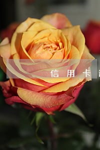 信用卡逾期转法务部门 信用卡逾期转法务部门