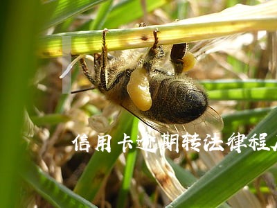 信用卡逾期转法律程序怎么办
