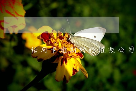 信用卡逾期转给催收公司 信用卡逾期转给催收公司