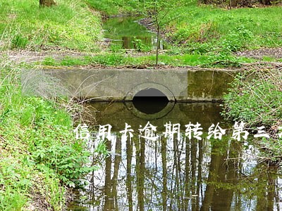 信用卡逾期转给第三方怎么协商 信用卡逾期转给第三方怎么协商