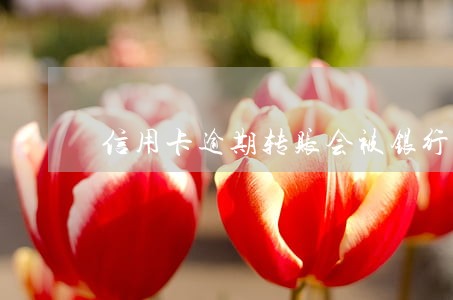 信用卡逾期转账会被银行截留吗 信用卡逾期转账会被银行截留吗