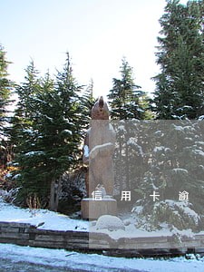 信用卡逾期辅警