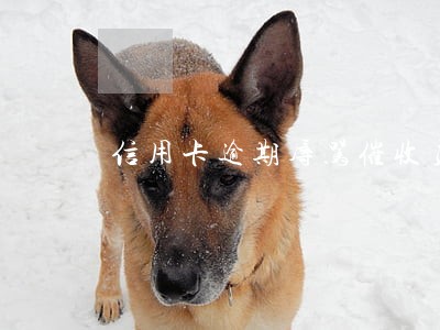 信用卡逾期辱骂催收员 信用卡逾期辱骂催收员