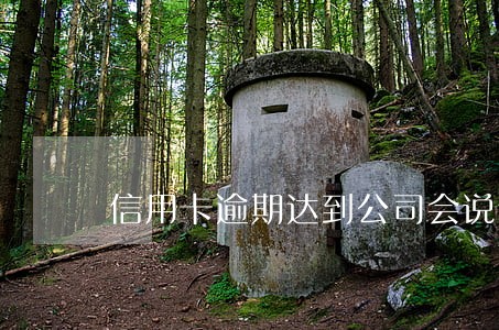 信用卡逾期达到公司会说什么 信用卡逾期达到公司会说什么