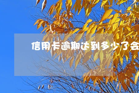 信用卡逾期达到多少了会判刑 信用卡逾期达到多少了会判刑