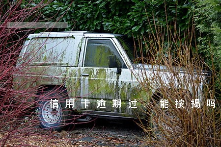 信用卡逾期过.能按揭吗 信用卡逾期过.能按揭吗