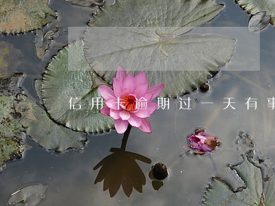 信用卡逾期过一天有事吗 信用卡逾期过一天有事吗