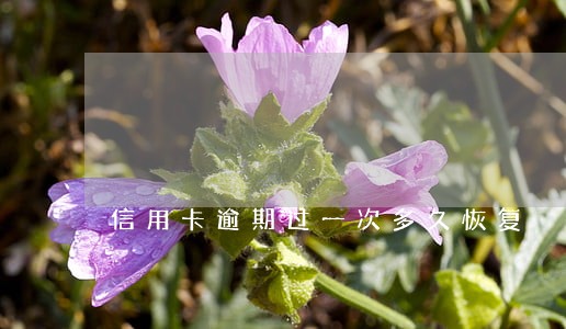信用卡逾期过一次多久恢复 信用卡逾期过一次多久恢复