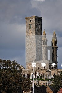 信用卡逾期过一次影响买车吗 信用卡逾期过一次影响买车吗