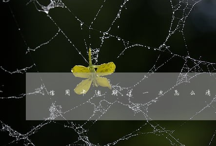 信用卡逾期过一次怎么清楚 信用卡逾期过一次怎么清楚