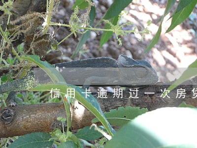 信用卡逾期过一次房贷