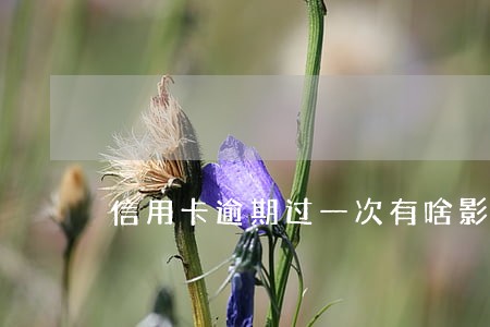 信用卡逾期过一次有啥影响 信用卡逾期过一次有啥影响