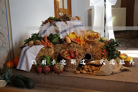 信用卡逾期过一次还能再办吗