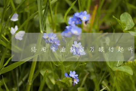 信用卡逾期过万银行起诉