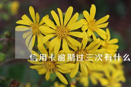 信用卡逾期过三次有什么后果 信用卡逾期过三次有什么后果