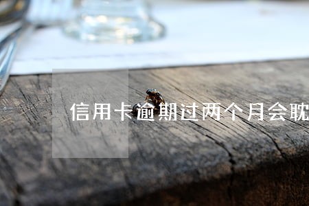信用卡逾期过两个月会耽误抢票吗 信用卡逾期过两个月会耽误抢票吗