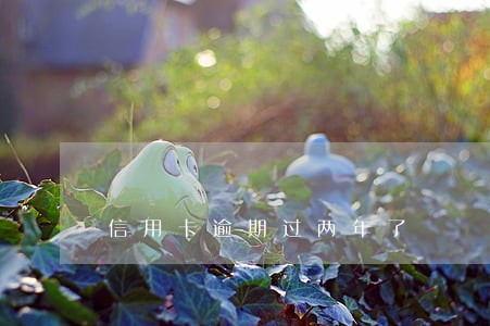 信用卡逾期过两年了 信用卡逾期过两年了