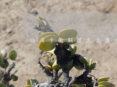 信用卡逾期过久会有什么影响吗 信用卡逾期过久会有什么影响吗