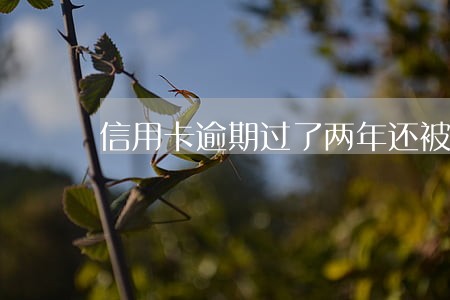 信用卡逾期过了两年还被秒拒