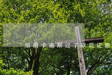 信用卡逾期过了以后还能坐飞机吗 信用卡逾期过了以后还能坐飞机吗
