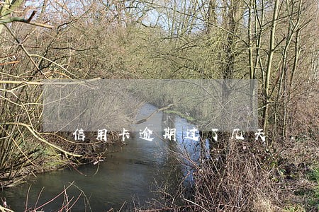 信用卡逾期过了几天 信用卡逾期过了几天