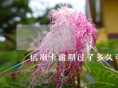 信用卡逾期过了多久可以贷款 信用卡逾期过了多久可以贷款
