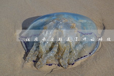 信用卡逾期过了诉讼时效 信用卡逾期过了诉讼时效
