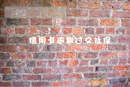信用卡逾期过交社保