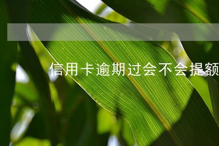 信用卡逾期过会不会提额度 信用卡逾期过会不会提额度