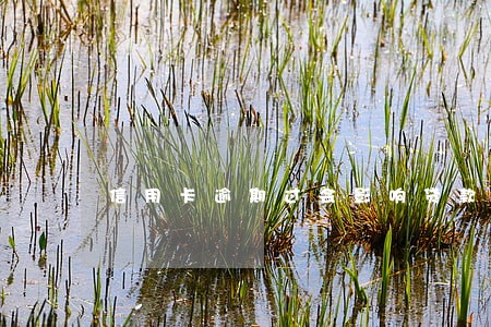 信用卡逾期过会影响贷款 信用卡逾期过会影响贷款