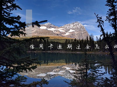 信用卡逾期过会怎么样 信用卡逾期过会怎么样