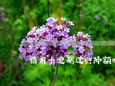 信用卡逾期过会降额吗 信用卡逾期过会降额吗