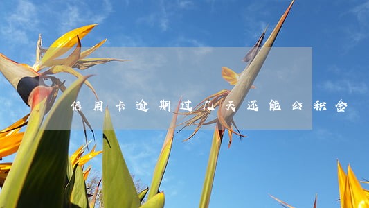 信用卡逾期过几天还能公积金 信用卡逾期过几天还能公积金