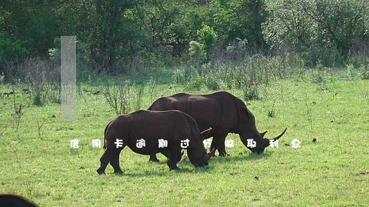 信用卡逾期过分收取利息 信用卡逾期过分收取利息