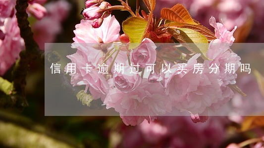 信用卡逾期过可以买房分期吗 信用卡逾期过可以买房分期吗