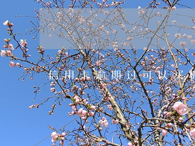 信用卡逾期过可以买机票吗 信用卡逾期过可以买机票吗