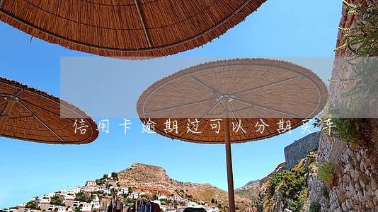 信用卡逾期过可以分期买车 信用卡逾期过可以分期买车