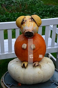 信用卡逾期过后 信用卡逾期过后