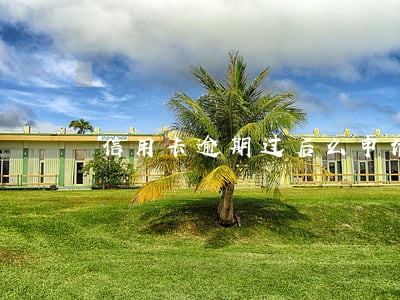 信用卡逾期过后么申请 信用卡逾期过后么申请