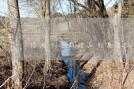 信用卡逾期过后利息怎么算 信用卡逾期过后利息怎么算