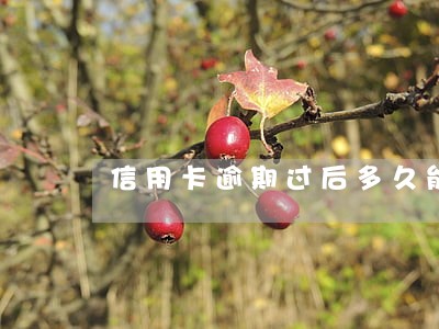 信用卡逾期过后多久能提额 信用卡逾期过后多久能提额