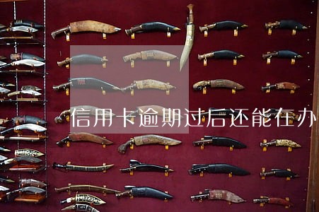 信用卡逾期过后还能在办吗 信用卡逾期过后还能在办吗