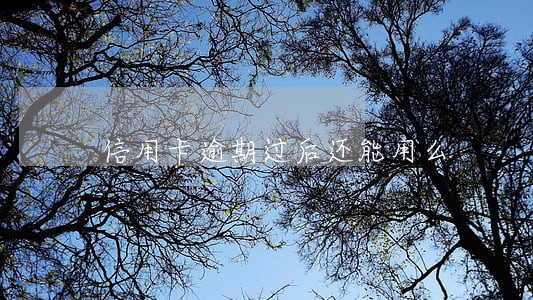 信用卡逾期过后还能用么 信用卡逾期过后还能用么